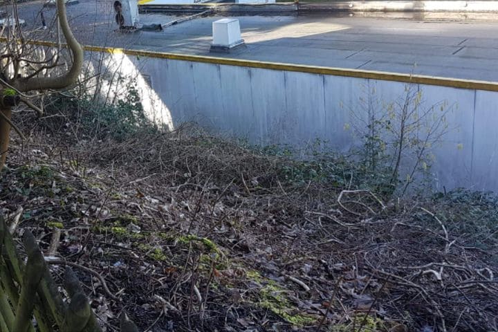 Überwucherung von Sträuchern zwischen einem Gebäude und seinem Zaun in einer industriellen Umgebung.