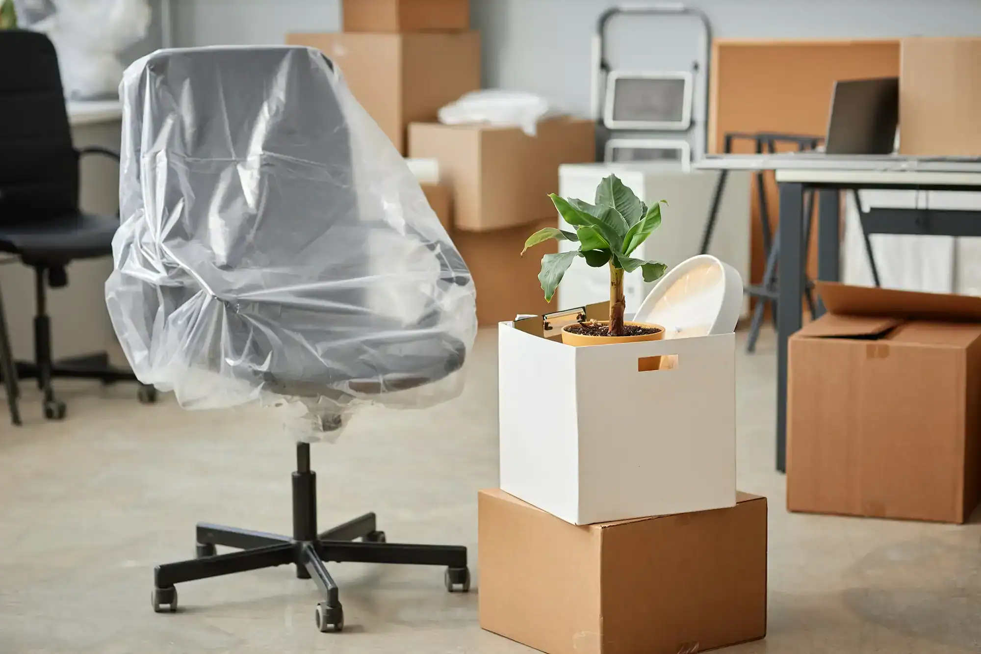 Umzugskartons und Büroausstattung: Ein mit Folie geschützter Bürostuhl, Kartons und eine Box mit Pflanze in einem durch eine Entrümpelung teilweise geräumten Büro.